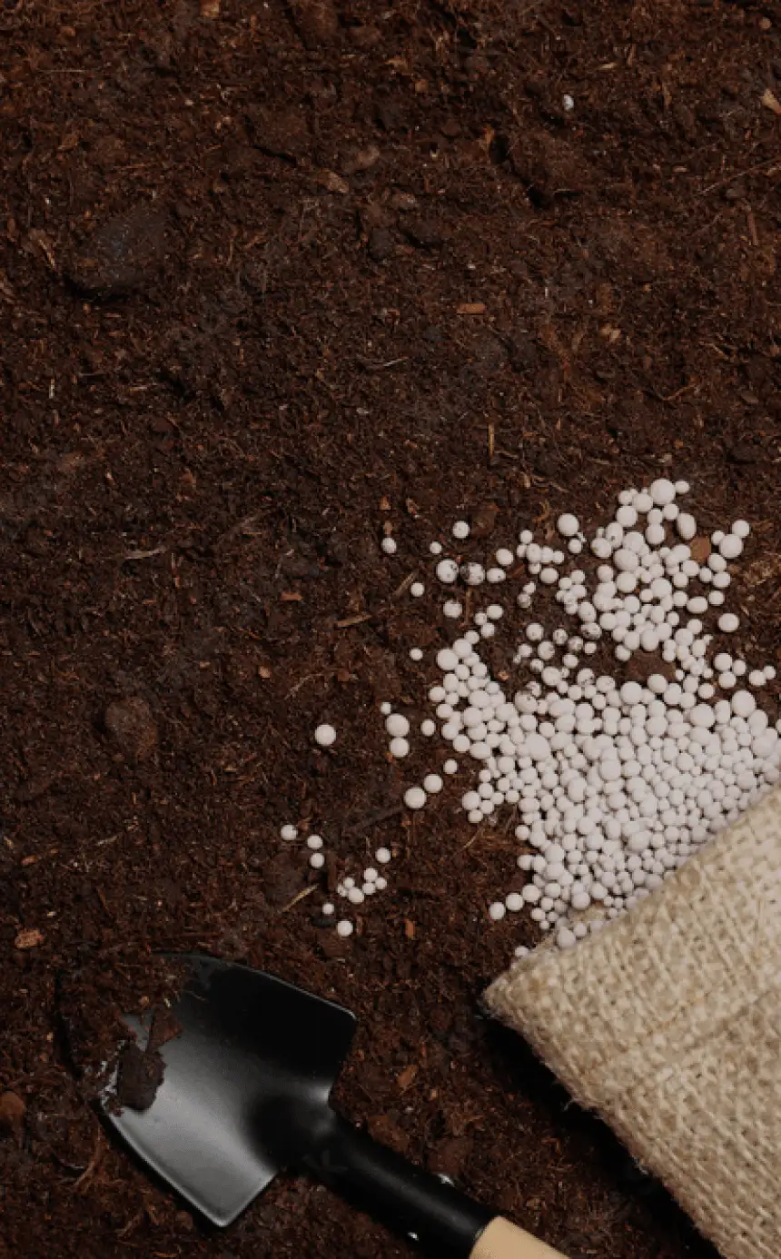 Dutchess County Fertilization and Soil Care