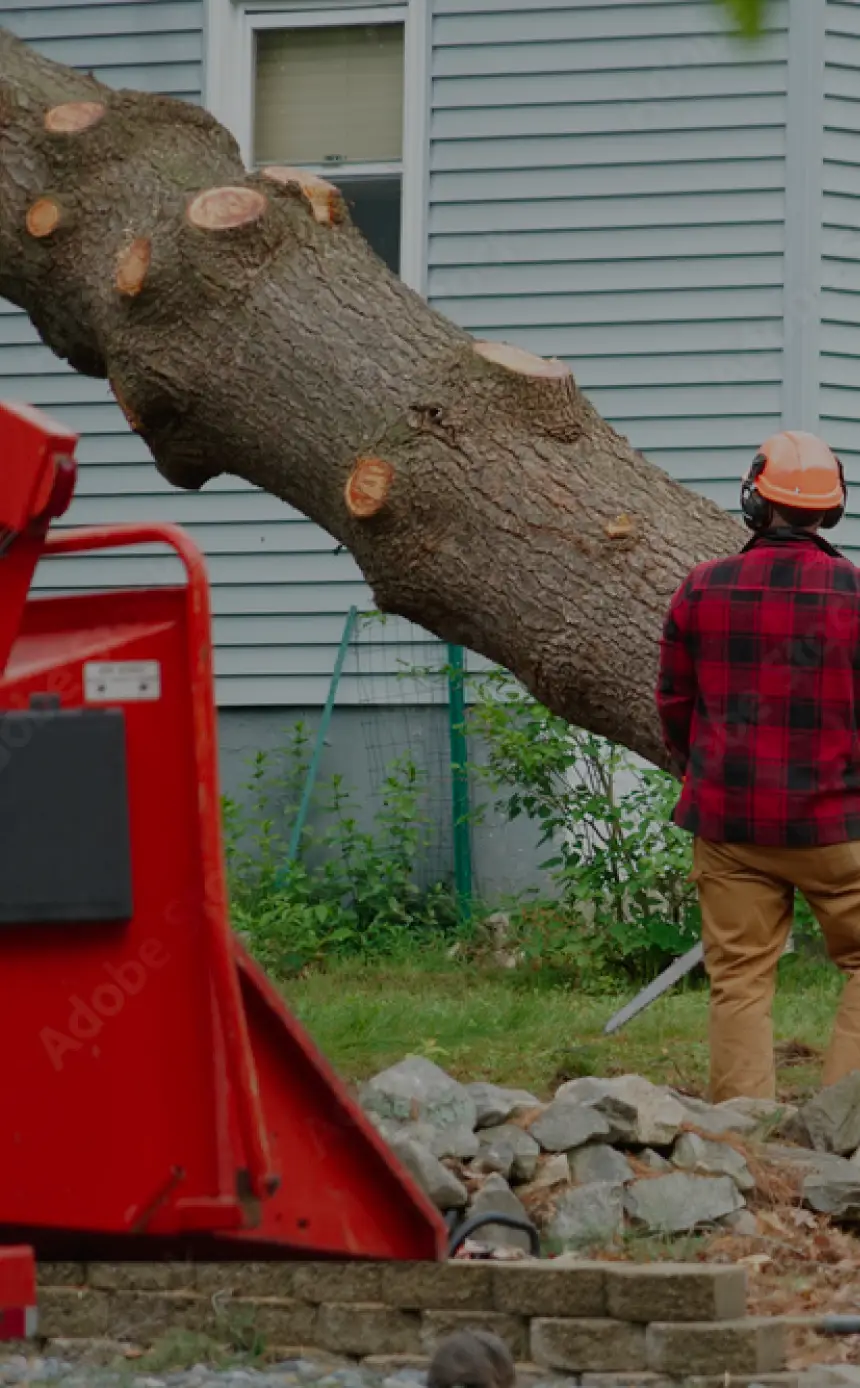 Dutchess County Hazardous Tree Removal