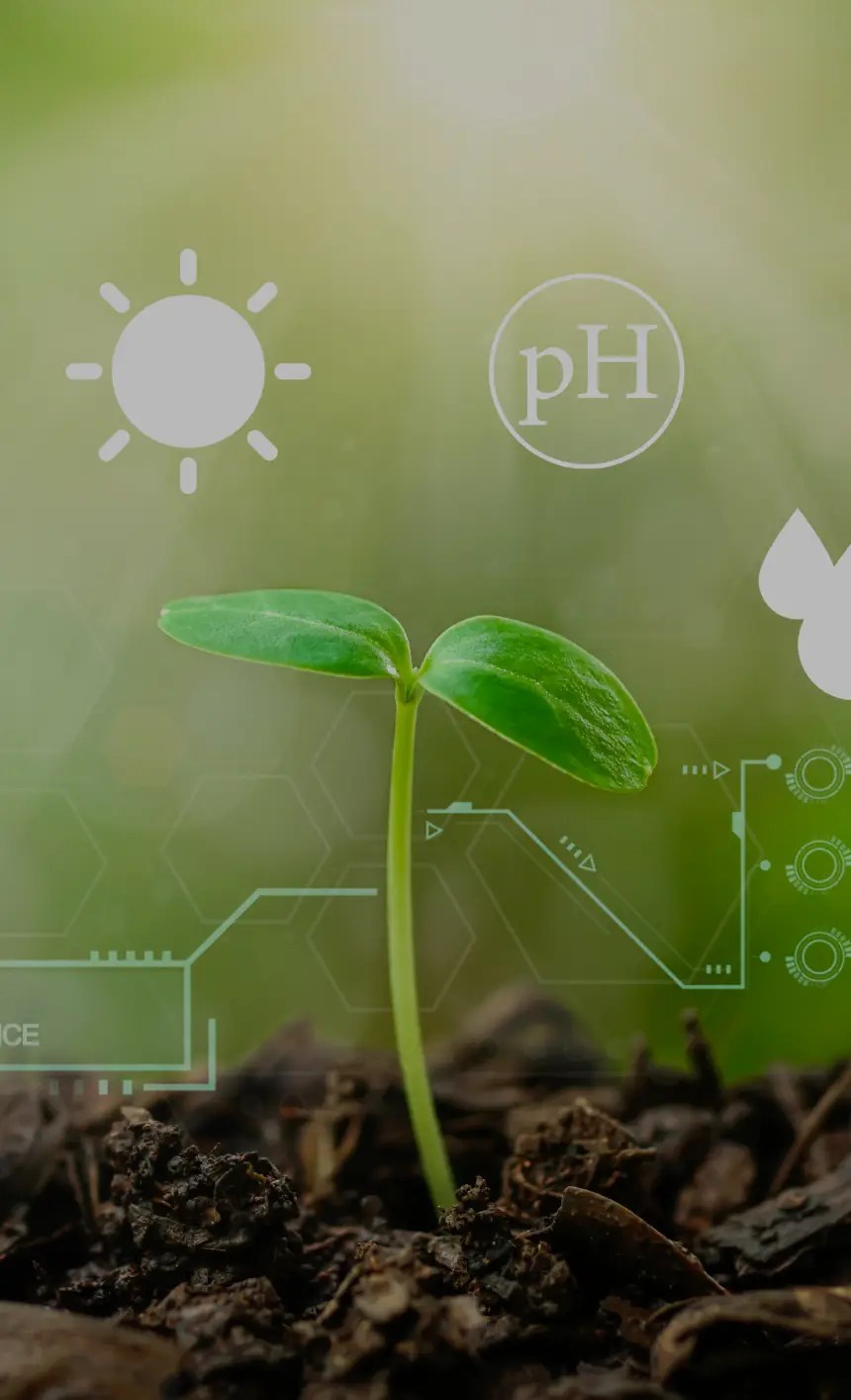 Dutchess County Plant Analysis and Diagnostic