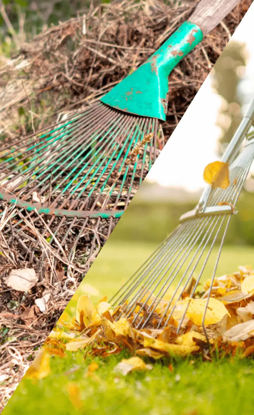 Seasonal yard cleanup services in Dutchess County