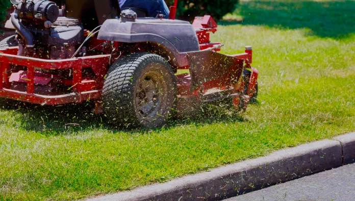 Lawn Care and Maintenance